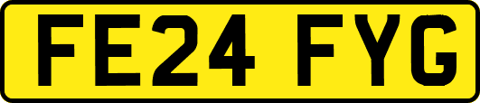 FE24FYG