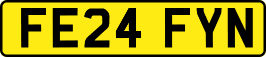 FE24FYN