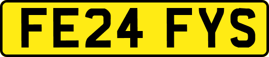 FE24FYS