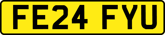 FE24FYU