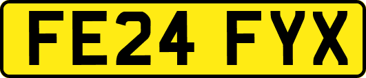 FE24FYX