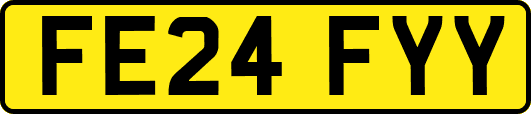 FE24FYY