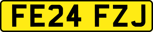 FE24FZJ