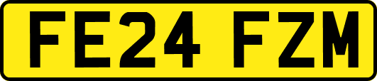 FE24FZM