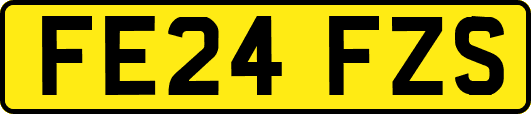 FE24FZS