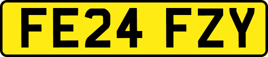 FE24FZY