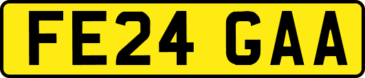 FE24GAA