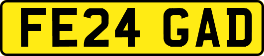 FE24GAD