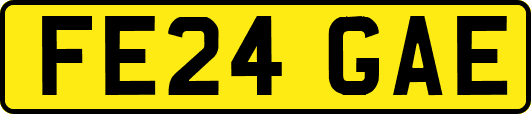 FE24GAE