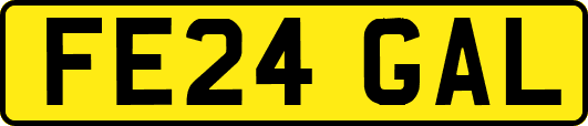 FE24GAL