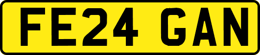 FE24GAN
