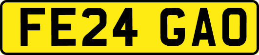FE24GAO