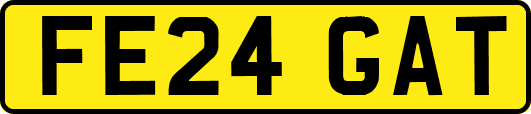 FE24GAT
