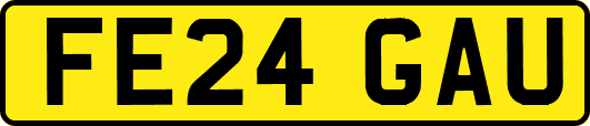 FE24GAU