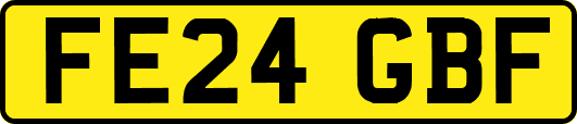 FE24GBF