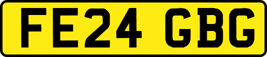 FE24GBG