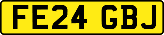 FE24GBJ