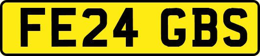 FE24GBS