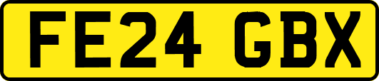 FE24GBX