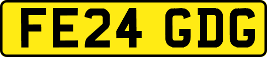 FE24GDG