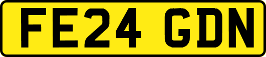 FE24GDN