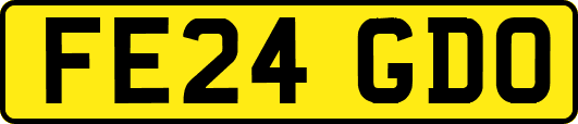 FE24GDO