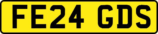FE24GDS