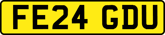 FE24GDU