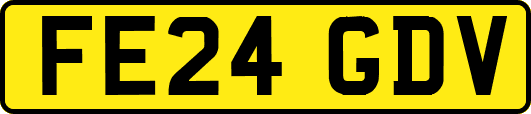 FE24GDV