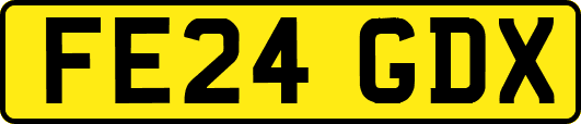FE24GDX