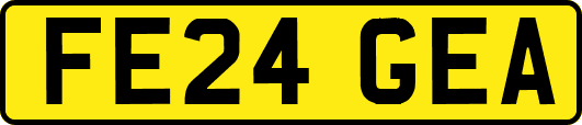 FE24GEA