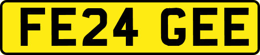 FE24GEE