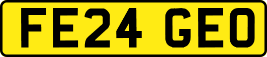 FE24GEO
