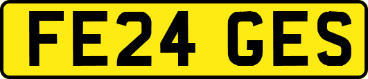 FE24GES