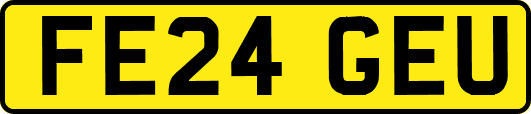 FE24GEU