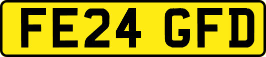 FE24GFD