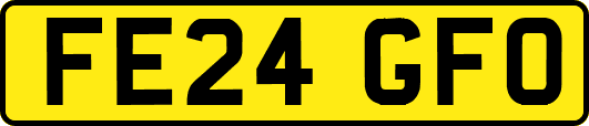 FE24GFO