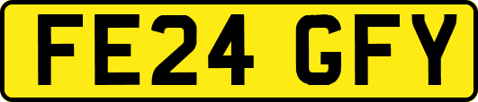 FE24GFY
