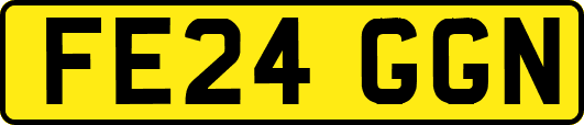 FE24GGN