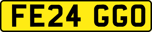 FE24GGO