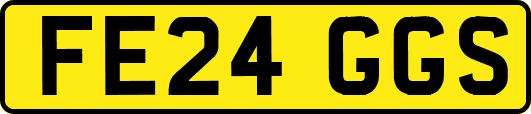 FE24GGS