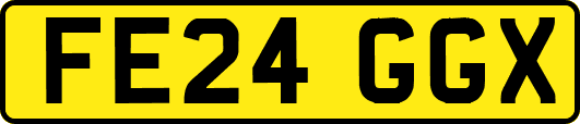 FE24GGX