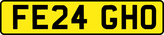 FE24GHO