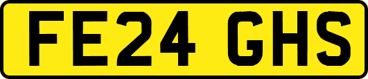 FE24GHS