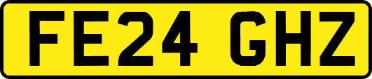 FE24GHZ