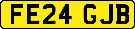 FE24GJB
