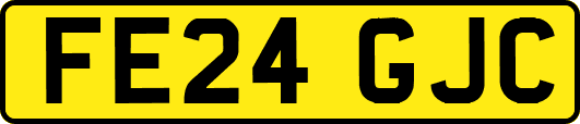 FE24GJC