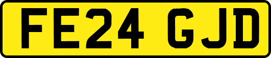 FE24GJD