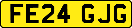 FE24GJG