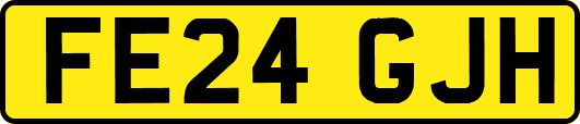 FE24GJH